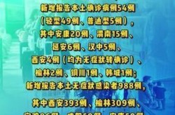 陕西新增60例本土确诊病例，陕西疫情最新新增病例是哪里