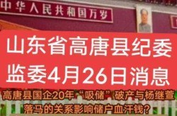 聊城今日头条新闻事件，今天聊城头条新闻