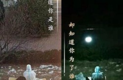 金州疫情封城时间，大连金州区疫情