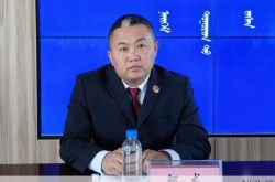 内蒙古新巴尔虎右旗2人核酸阳性（新巴尔虎右旗怎么样）