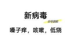 2024年12月份新病毒，2025最新一轮感冒病毒
