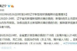 辽宁新增本土确诊36例是哪里的，辽宁新增本土确诊详情