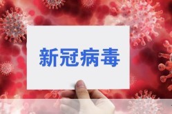 2024年7月新冠jn.1，2024年1月份新冠