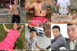 四平阿厦央视新闻回放，四平新闻联播往期回看