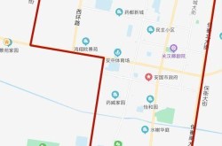 保定安国疫情最新消息今天，保定市安国市最新限号情况
