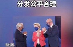 欧盟暂缓豁免疫苗知识产权，各国都有什么打算？