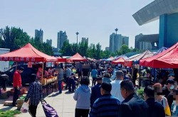 铁西区最新消息今天（铁西区大集最新通知）
