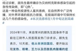 江苏疫情放开最新消息今天，江苏疫情最新消息今天