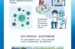 新冠肺炎的预防与治疗，新冠肺炎的预防与控制措施