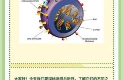 一家人互相感染新冠病毒，新冠病毒一定会传染给家人吗