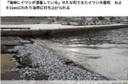 2000多名游客滞留北海死亡，北海休鱼期2024