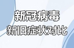 2023年8月新冠病毒，2024年新冠病毒