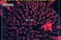新病毒的最新消息地图，最近的新病毒