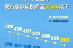 31省区市新增境外输入28例（31个省今天新增多少例）