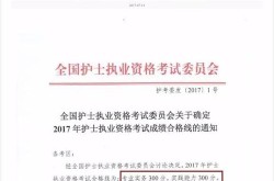 2012年护士执业资格考试成绩查询入口，2012护士资格证成绩查询入口