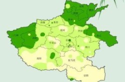 河南疫情最新消息今天，河南2025新病毒最新消息
