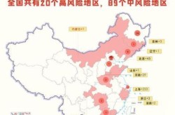 中国2020年疫情，中国2020年疫情指标地图