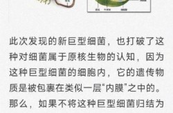 大多数细菌每隔多长时间可以繁殖一代，大多数细菌繁殖一代所需的时间为