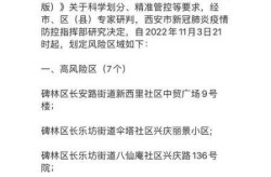 西安又有新型传染病了吗，西安有新冠病毒患者吗