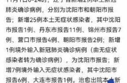 辽宁朝阳最新疫情规定，辽宁朝阳市疫情最新情况
