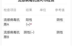 2024年12月这波甲流会持续到啥时候结束，甲流在2024年会结束吗