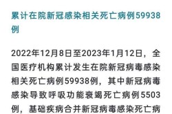 新冠疫情死亡人数是多少，新冠疫情死去多少人