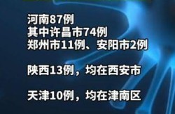 今日全国新增本土确诊病例，全国新增本土确诊病例最新