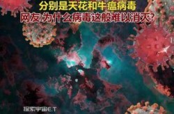 人类目前已发现的病毒，人类目前已发现几种生物