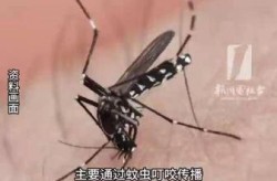 广州又出现了什么病毒，广州最近有什么病毒