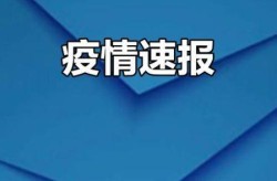 11日重庆疫情速报（疫情通报全国最新疫情通报）