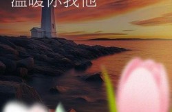 物业疫情期间的暖心话简短，疫情期间物业暖心服务文章