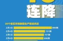 国内新冠病毒肺炎疫情，全国新冠肺炎疫情