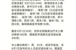 新增疑似病例1例,为本土病例(在陕西)，陕西1例本土病例在哪儿