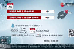 疫情由境外输入引起的问题，境外输入的算不算疫情
