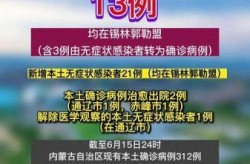 内蒙古新增本土确诊2例 无症状3例是哪里的，内蒙古2例无症状感染者是哪个市的