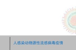 预言2024病毒爆发于几月（sasi病毒爆发是哪一年）