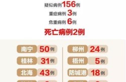 广西新增本土确诊2例是哪里的，广西有新增确诊病例吗