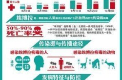埃博拉疫情是什么时候发生的，埃博拉疫情爆发时间