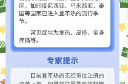 2024年登革热最新疫情，登革热在2025的最新消息