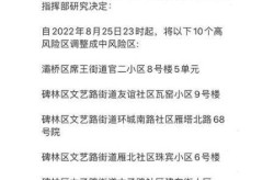 西安中风险地区增至10个（西安是什么风险地区）