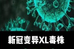 韩国新型冠状病毒变异，最新的新冠变异病毒