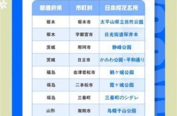2022开幕式日本第几个出场