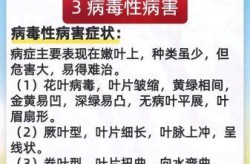 最近流行病毒感染叫什么，近期出现的病毒叫什么