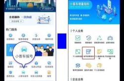 小汽车摇号官方网查询结果，汽车摇号结果查询