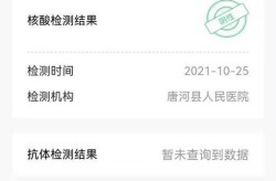 核酸报告电子版在哪查，医院做的核酸报告在哪里查询