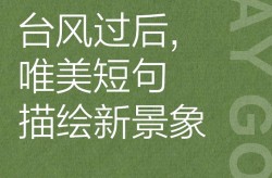 台风过后的句子唯美短句，台风过后最经典十句话