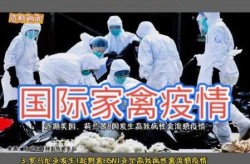 韩国疫情最新情况今天，2025韩国疫情最新情况