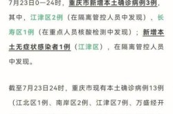 26日重庆疫情速报（重庆市最新疫情）