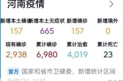 31省新增本土49例，31省市新增本土病例最新消息