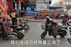 河北快递还发货吗（河北快递恢复了吗）